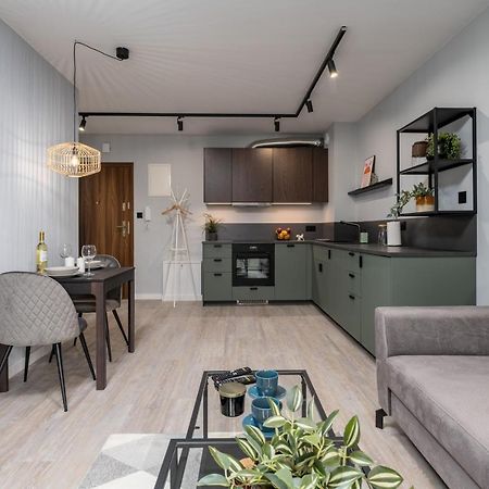 Citycenterapartments-11/21 Bielsko-Biala Bagian luar foto