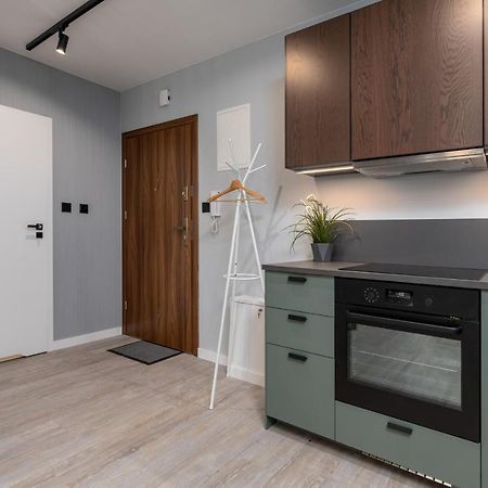 Citycenterapartments-11/21 Bielsko-Biala Bagian luar foto